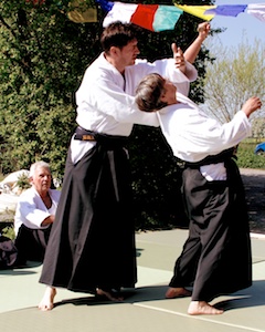 Aikido-Training-Demonstration